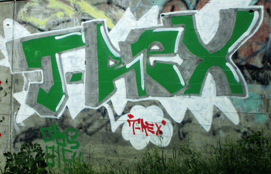 TREX T-REX graffiti zürich
