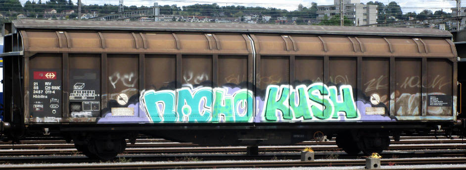 NACHO KUSH SBB-güterwagen graffiti