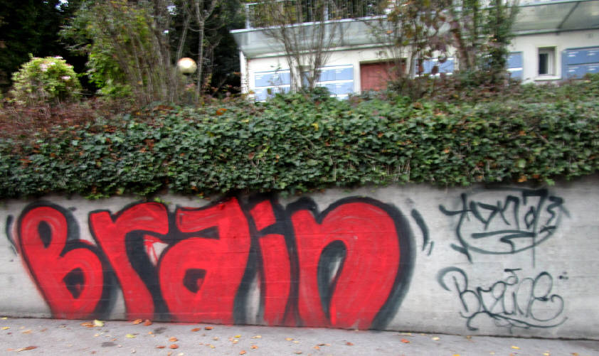 BRAIN graffiti zürich