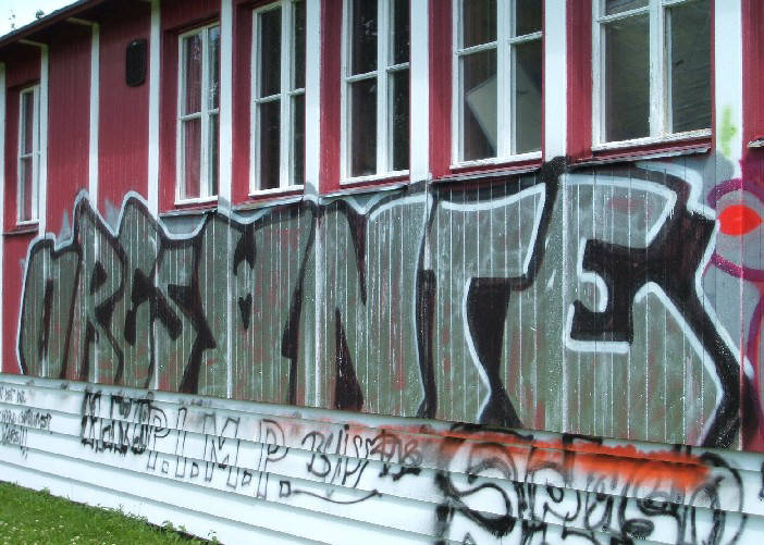 DRES ANTE graffiti zrich auzelg