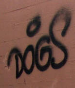 DOGS graffiti tags bahnhof enge zürich sbb