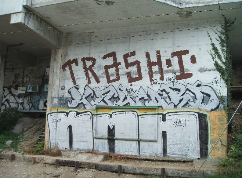 TRASH graffiti zrich