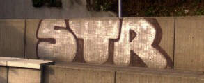 STR graffiti zrich-irchel