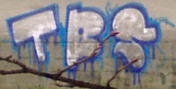 tbs graffiti zürich