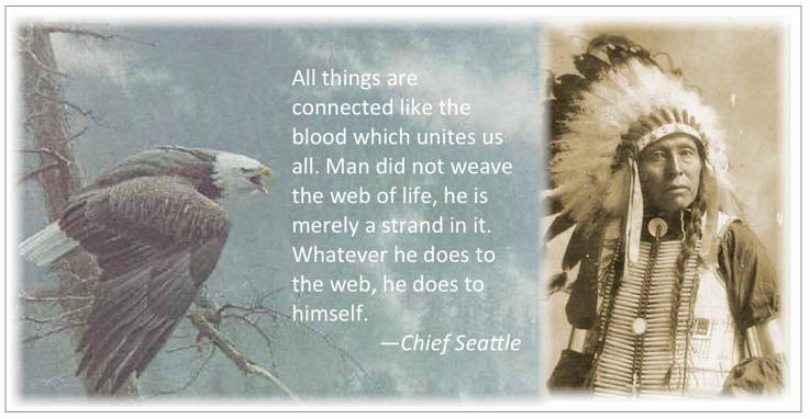 all things are connected like the blood which unites us all. man did not weave the web of life, he is merely a strand in it. whatever he does to the web, he does to himself. chief seattle