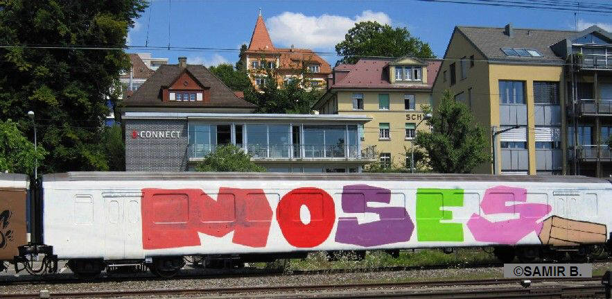 MOSES GRAFFITI whole car graffiti zurich switzerland august 2010. full car train graffiti. SBB full car graffiti zürich